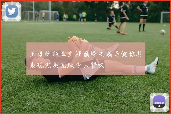 王哲林职业生涯巅峰之战马健称其表现完美无瑕令人赞叹